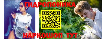 молекула духа Донецк