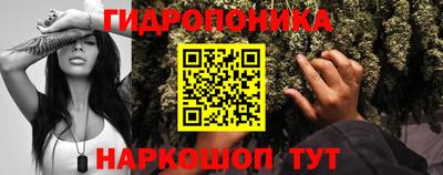 прущие грибы Заволжье