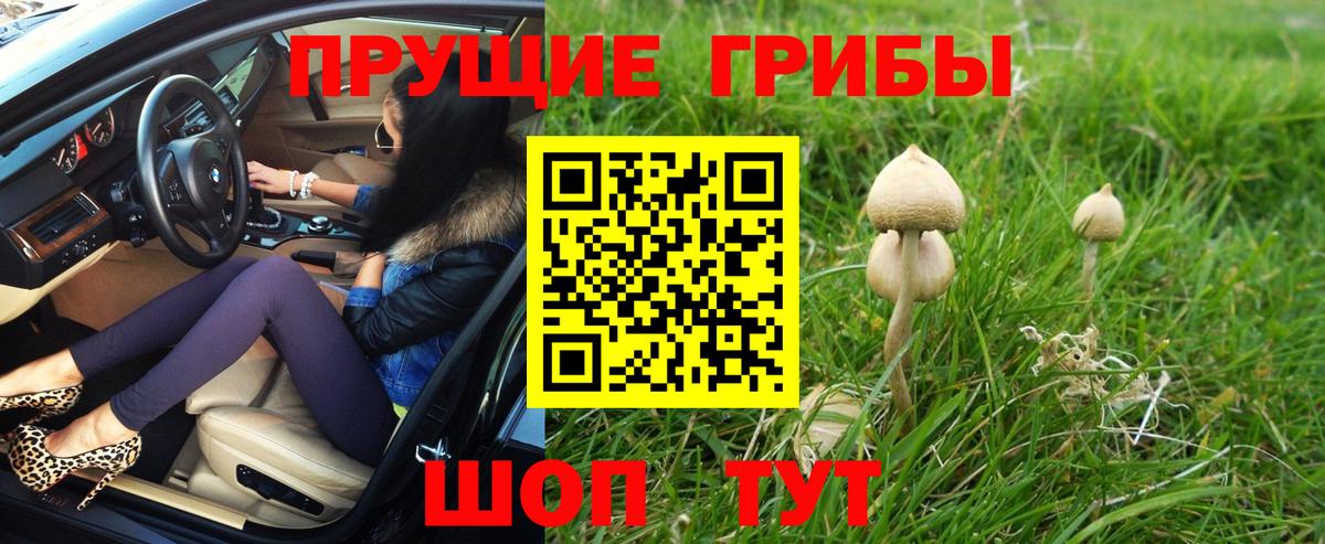 Мелеуз  Галлюциногенные грибы Psilocybe  Вход с VPN  Псилоцибиновые грибы Psilocybine cubensis 